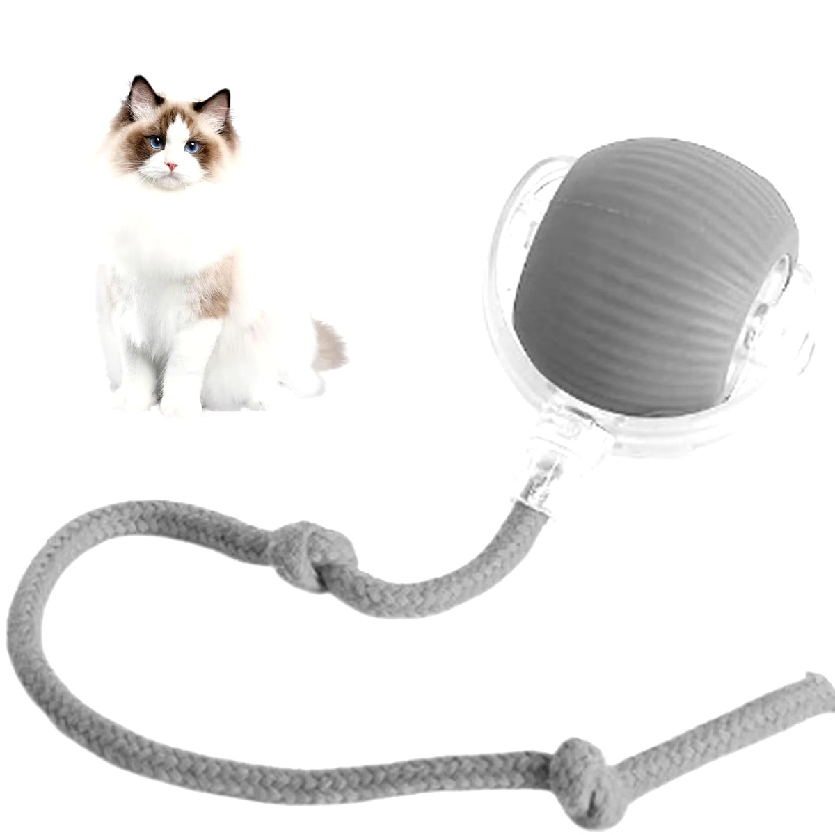 Interactive Rechargeable Cat and Dog Rolling Ball Toy