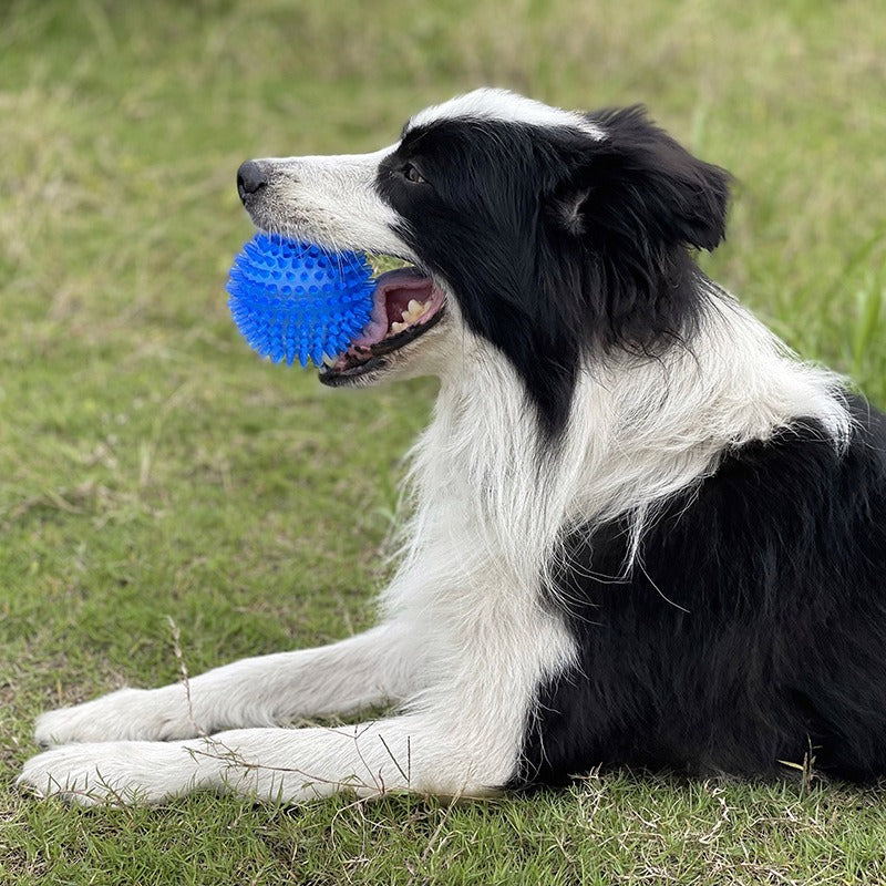 Juguete para perros en forma de pelota con pinchos y sonido, 9 cm