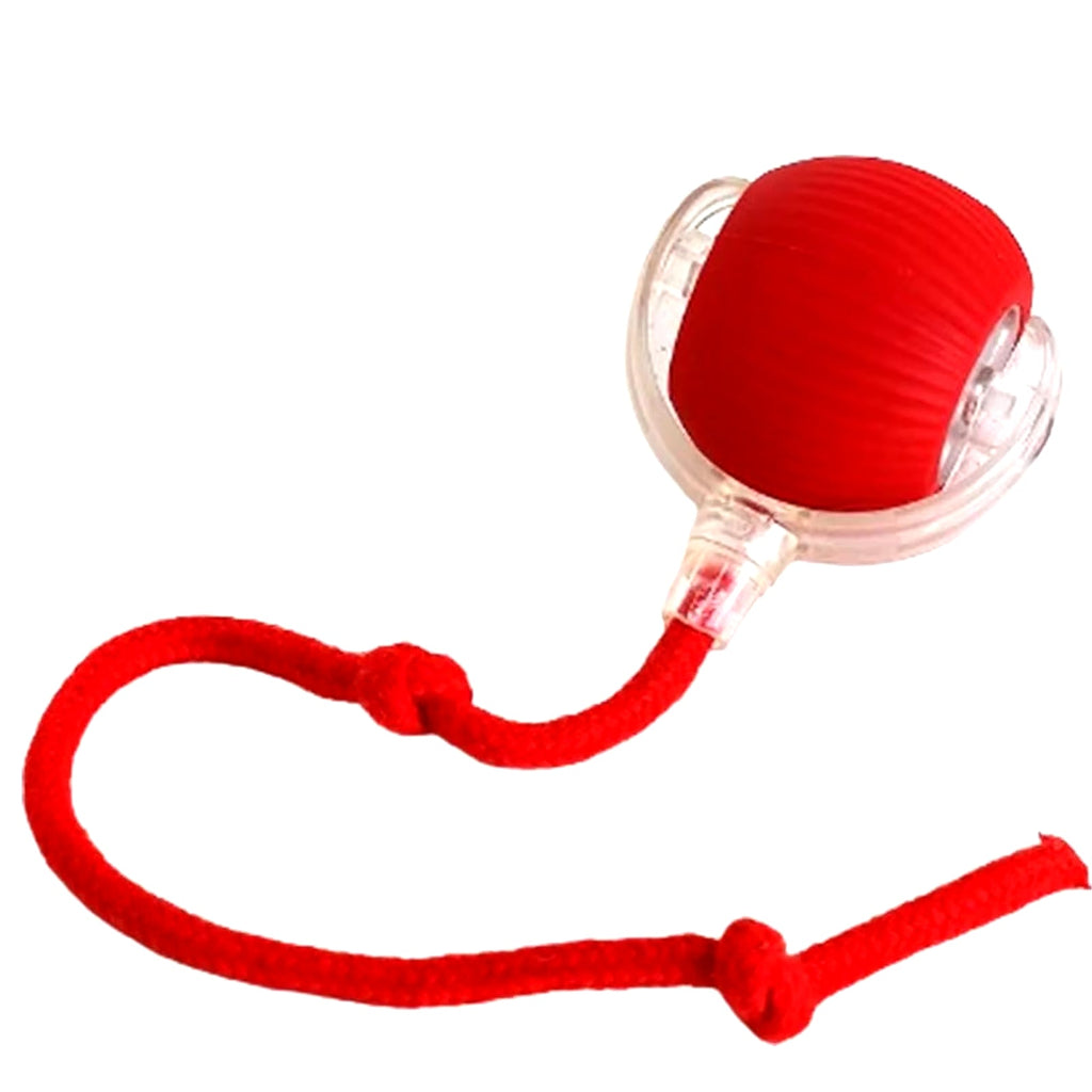 Juguete interactivo recargable con pelota rodante para gatos y perros