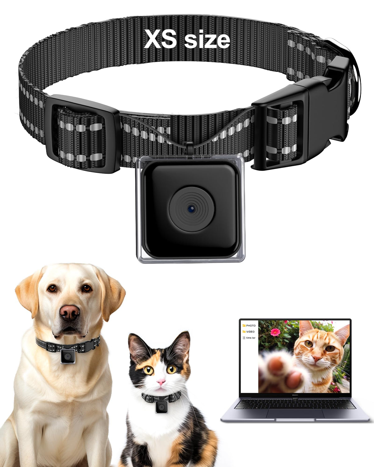 LuminiCam HD Pet Camera Collar, No App Needed