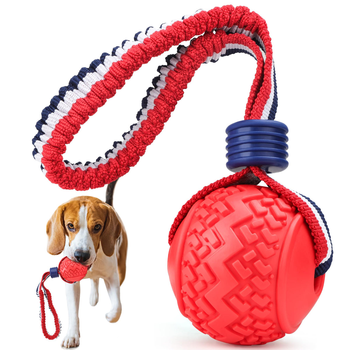 Interactive dog training ball with red rope handle, shown with a dog